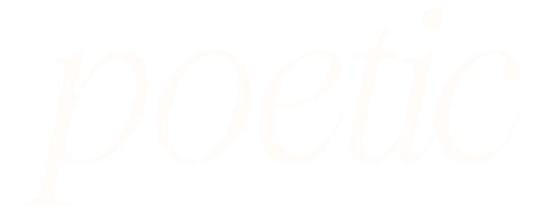 White logo for transparent header